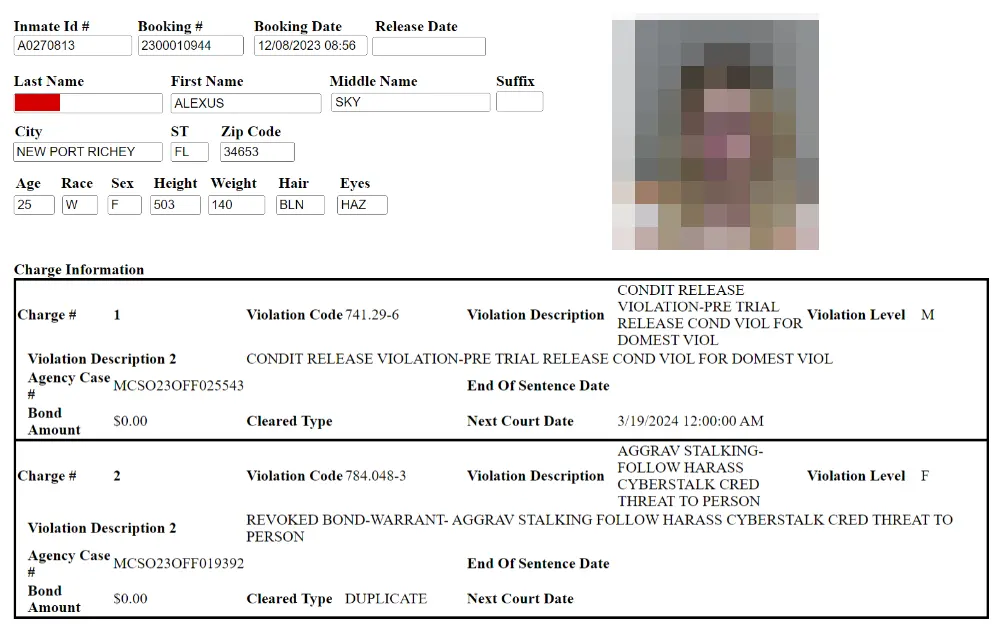 A screenshot showing the inmate's information, including details such as the inmate ID and booking number, booking and release date, last, first, and middle name, suffix, city, state, zip code, age, race, sex, height, weight, hair, eyes, and charge information.