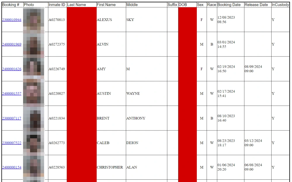 A screenshot showing inmate inquiry search results includes booking number, mugshot photo, inmate ID number, last, first, and middle name, suffix, date of birth, race, booking, and release date.
